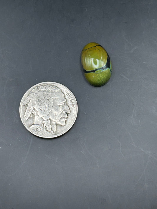 Hubei Turquoise 7.2ct Cabochon